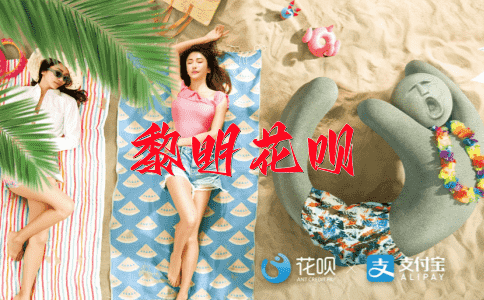 豹变虎变，步步为营花呗